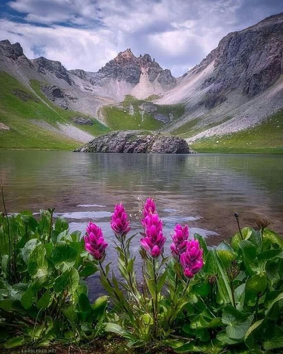 ⛰️⛰️⛰️🌱🌱🌱🌸🌸🌸🌊🌊🌊🌸🌸🌸🌱🌱🌱⛰️⛰️⛰️