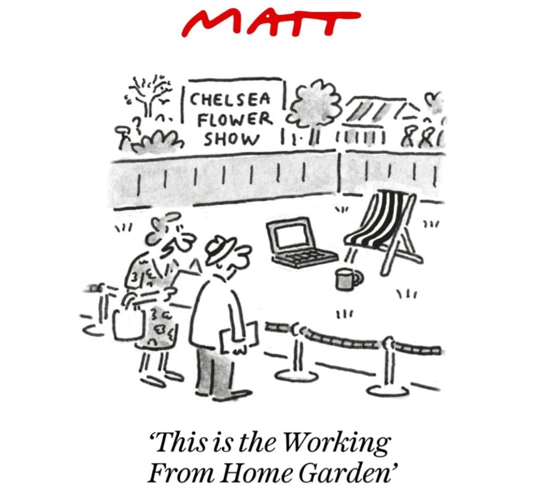 Chelsea Flower Show is everywhere today! @MattCartoonist