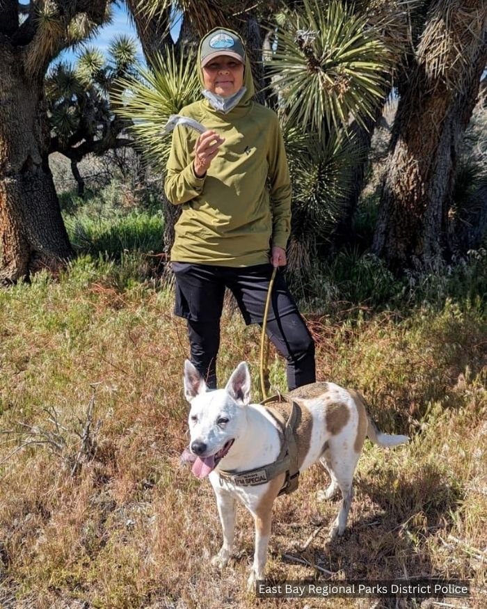 SEARCH UNDERWAY: A large-scale search is on after a hiker and his dog both went missing during an overnight hike east of Sunol and south of Livermore. trib.al/OxJXDxG