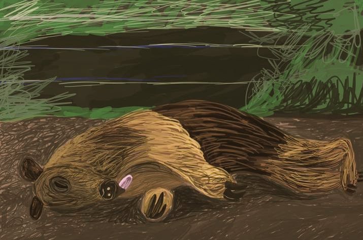 juna025's tweet photo. Osos de la naturaleza
.
.
.
#artedigital #osos #naturaleza #artes https://t.co/rPmoSpuodD
