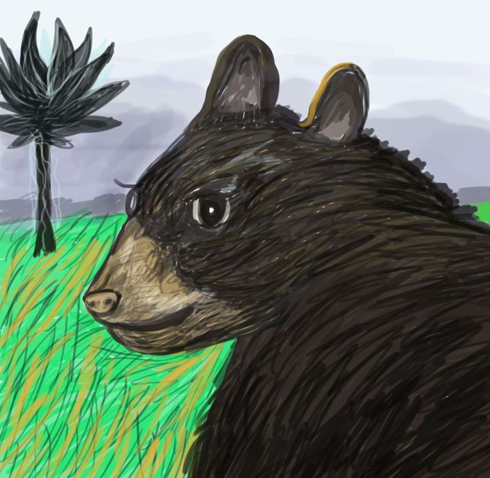 Osos de la naturaleza
.
.
.
#artedigital #osos #naturaleza #artes