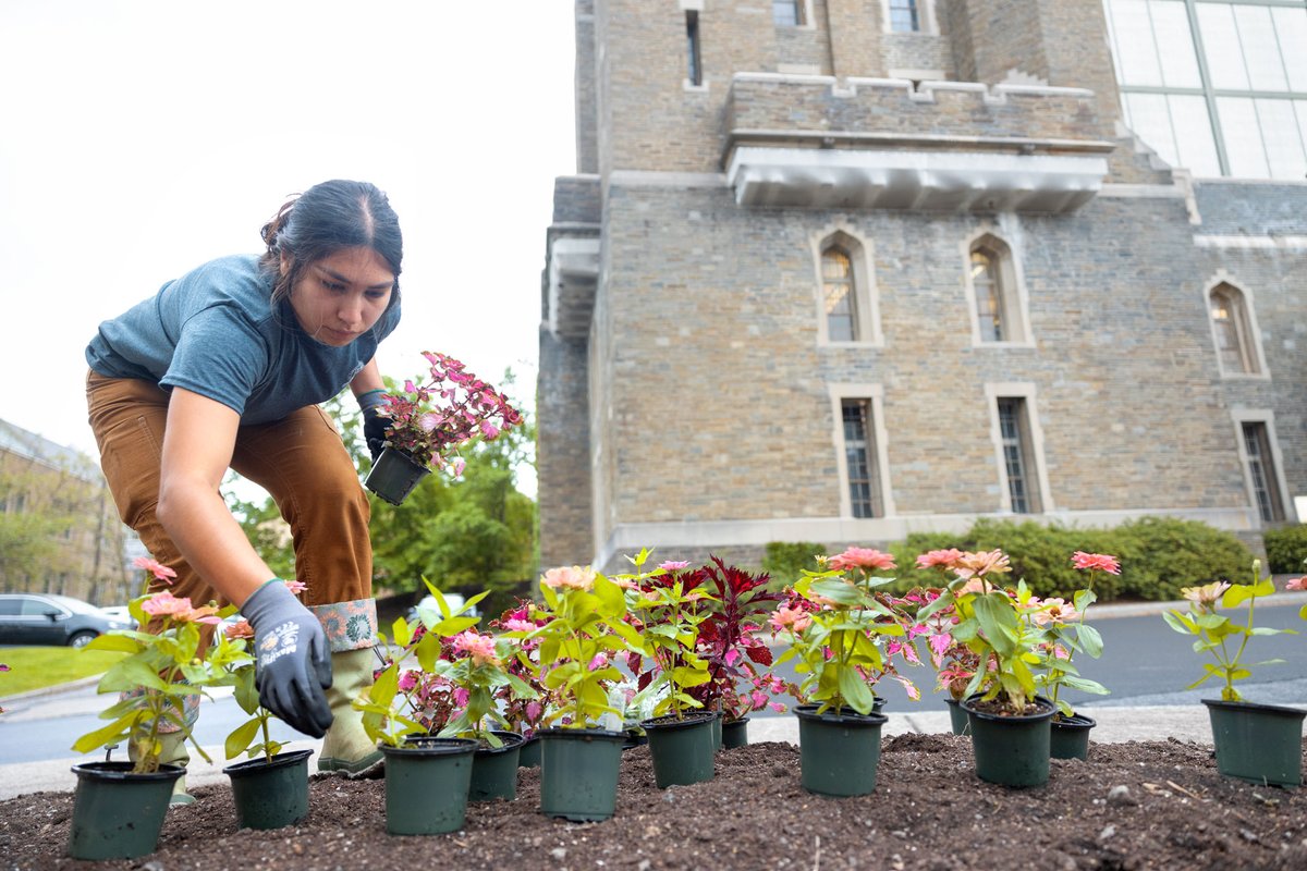 Cornell University tweet media
