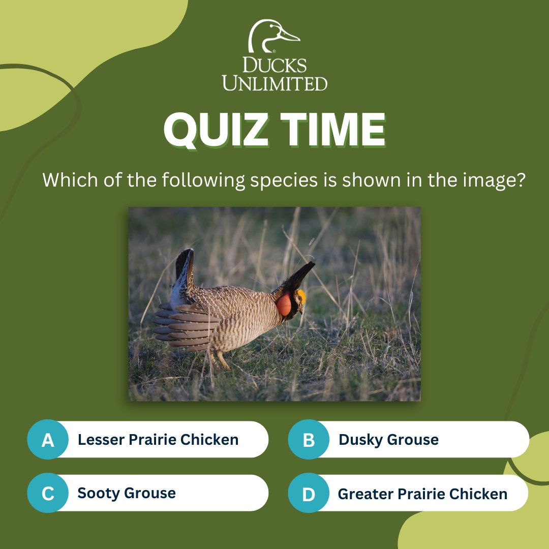 🌟 CTE TRIVIA 🌟 Were you able to answer correctly? The @DucksUnlimited Conservation & Management Certification is an industry certification that demonstrates exceptional knowledge and skills in ecological principles and wildlife management. Learn more: bit.ly/3QUVwLn