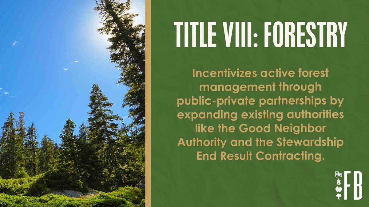 Forest health is critically important. The 2024 #FarmBill promotes active forest management, creates new market opportunities for wood products, and will revitalize rural communities.