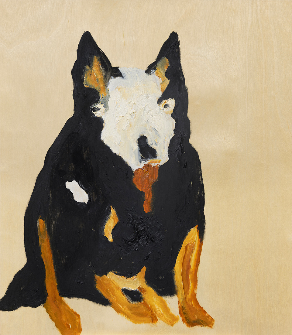 @homeat735 is pleased to be exhibiting a suite of paintings by Melbourne based artist Darren McDonald. Join us for opening drinks Wednesday the 12th June. Pictured is Denzel, 2023, oil on board #art #exhibition #dog #painting
