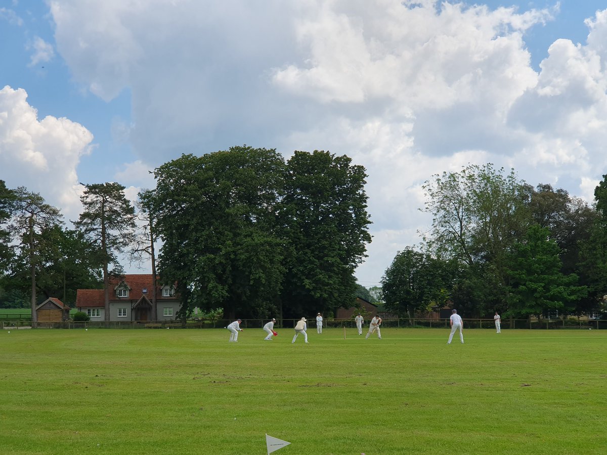 The Bushmen tweet media