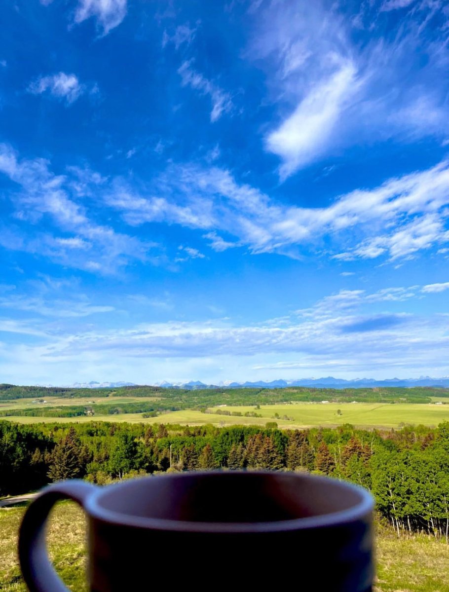 Vitamin Dee tweet media