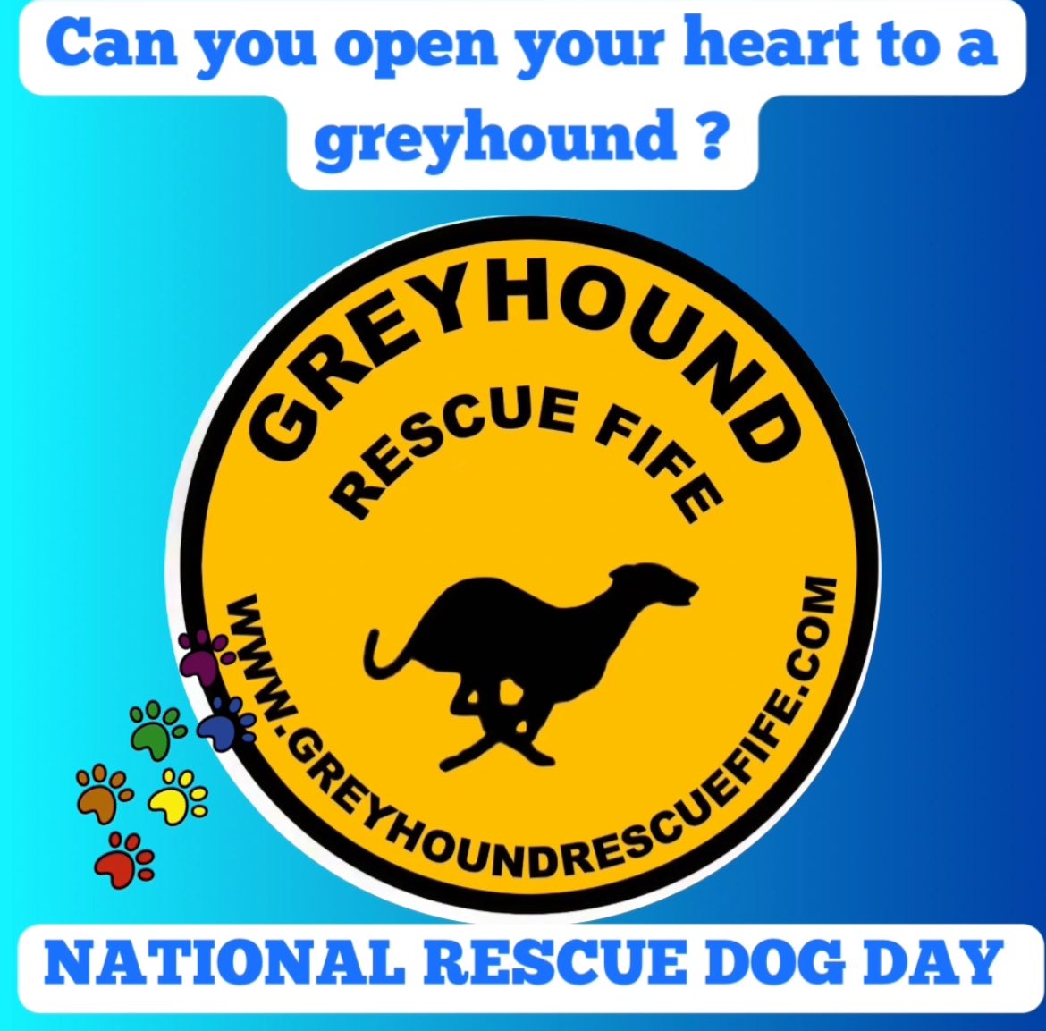 On #NationalRescueDogDay we are highlighting the plight of #Greyhounds at GRF. In the hope of finding them homes our reduced adoption fee £100 offers gr8 value.Your #Greyhound will be neutered,vaccinated,microchipped & come with a lead, a muzzle➕a big heart full of love #k9hour