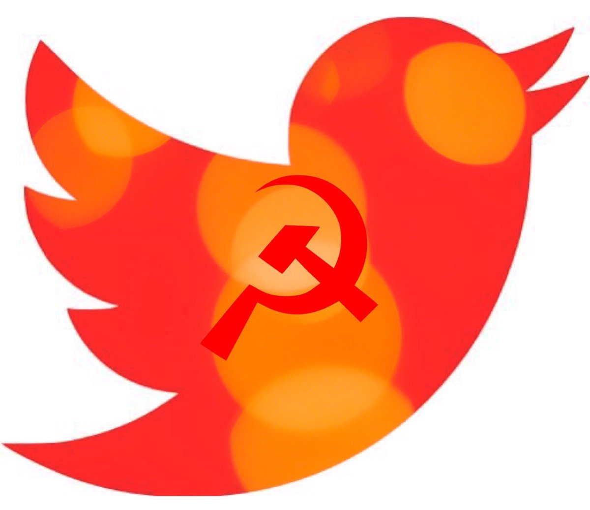 Guaranteed Notary (@notarymk) on Twitter photo 