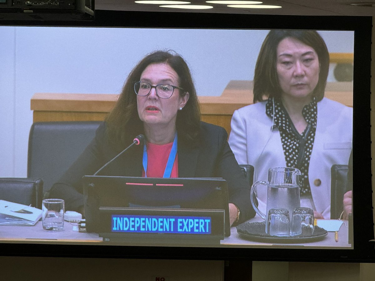 Claudia Mahler @IE_OlderPersons wants an international legally binding instrument on #olderpersons rights from the @UN as we have done for children, women and people with disabilities. She is so right - it is the right time. The time is now.