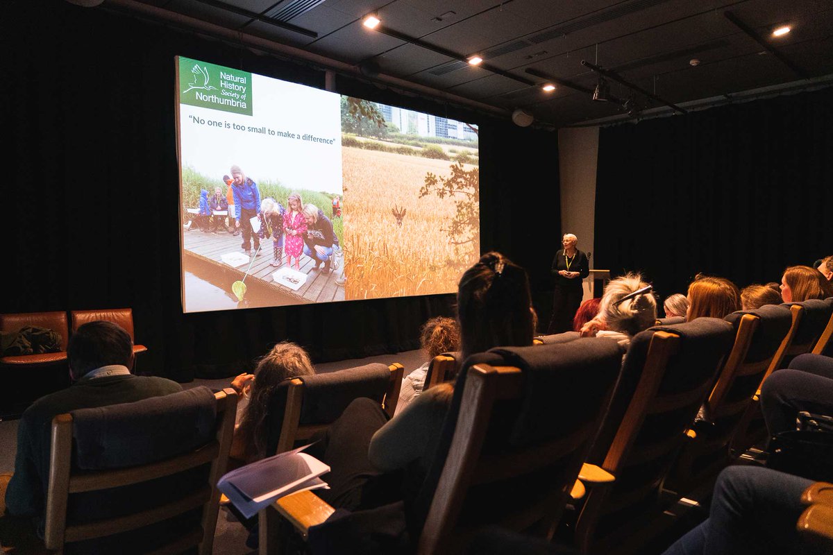 Here is @Clare3Freeman, Director of @NENature_. Clare was one of our five speakers @tynesidecinema (Gallery Screen; Great venue!) for our @NEBBS11 Plastic Warriors event (Sunday 21 April 2024). Photographs by Cain Scrimgeour of @WildIntrigue. @OutpostP @PoppyChandler4 @NTBirdClub