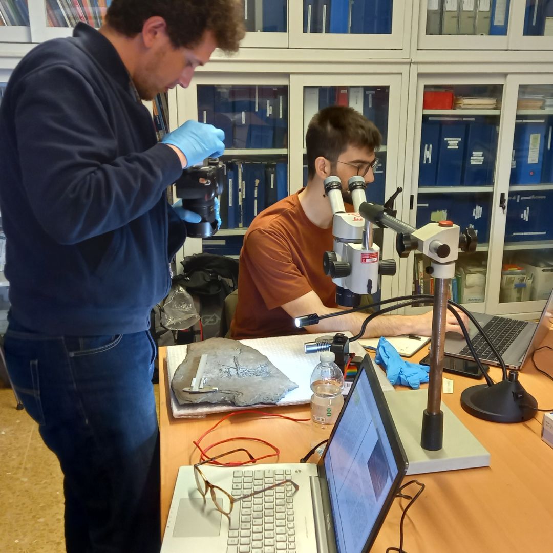 museocsnbergamo's tweet photo. Sono venuti a trovarci i due ricercatori @CiaffiAlessio e @GBindellini per fare comparazioni con alcuni #Pterosauri della Patagonia e approfondire studi centrati sul Triassico.
Buon lavoro Alessio e Gabriele, aspettiamo di ricevere vostre news.
#eudimorphodon #fossilfriday https://t.co/ZUvmKBh4XQ