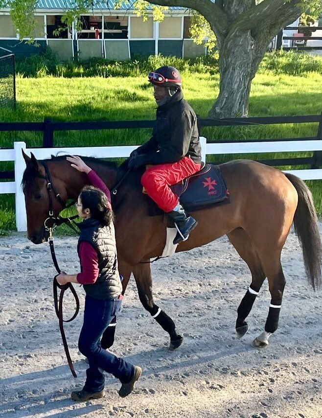 ~Stay close to anything that makes you glad that you’re alive.~📸 @shirleycamhaven 🏇🇨🇦❤️🤍 #Thoroughbreds #HorseRacing #OntarioRacing #SocietysChairman #HorseLove #MyBoy #MondayMotivation