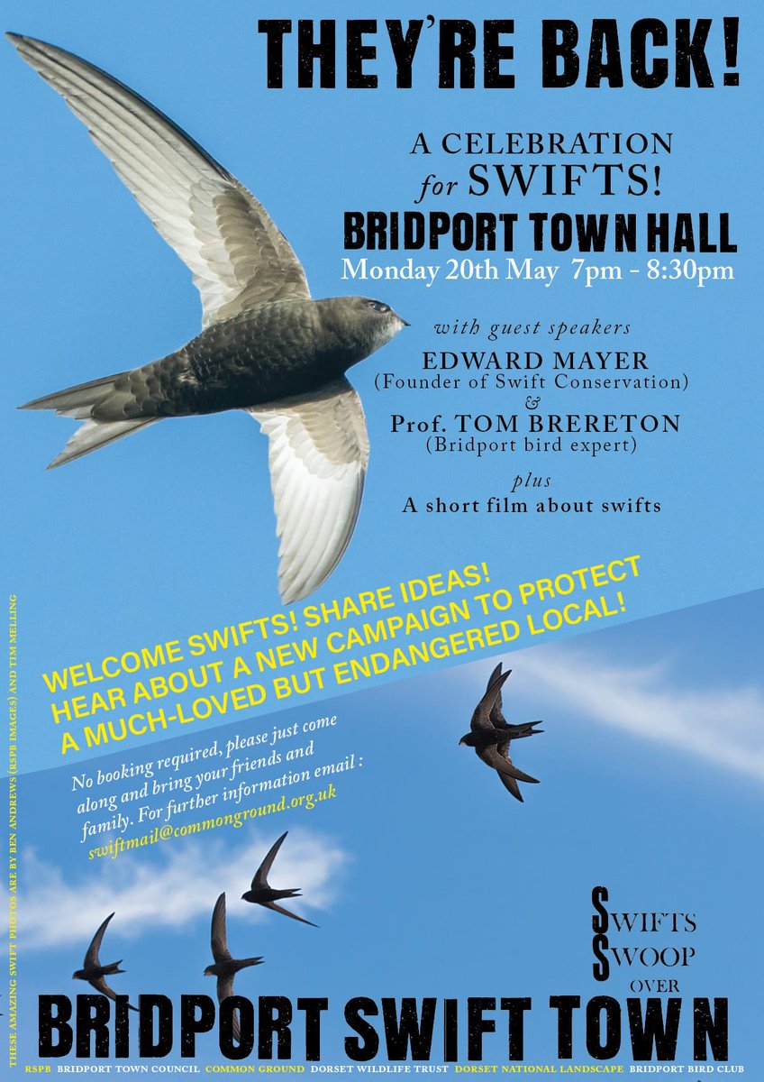7pm TONIGHT - Bridport - SWIFTS!
