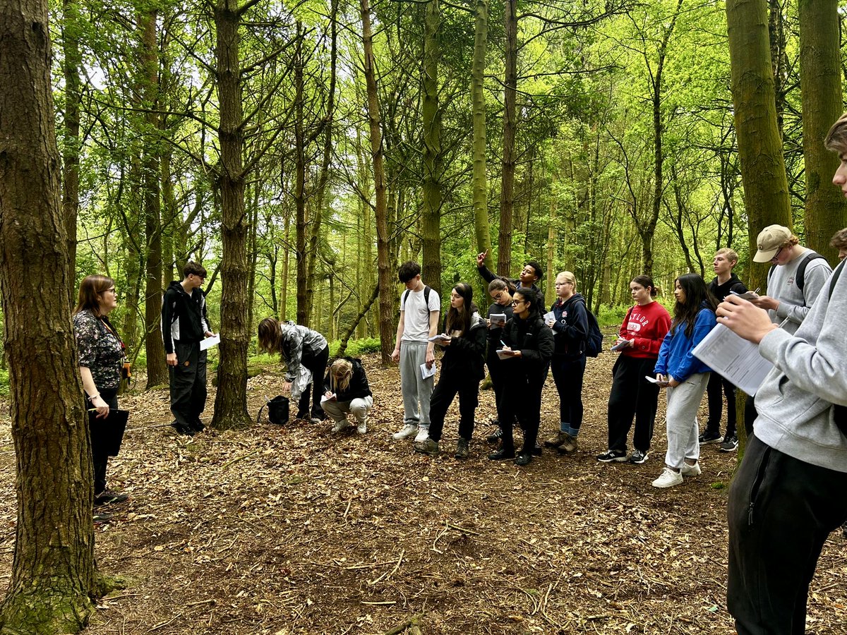 Harrogate Grammar School tweet media