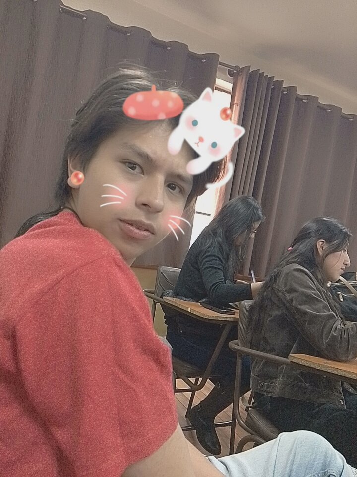 SalsitadeAaron's tweet photo. Meow, Meow.
#Alergicoaloscats https://t.co/15d974SM9n