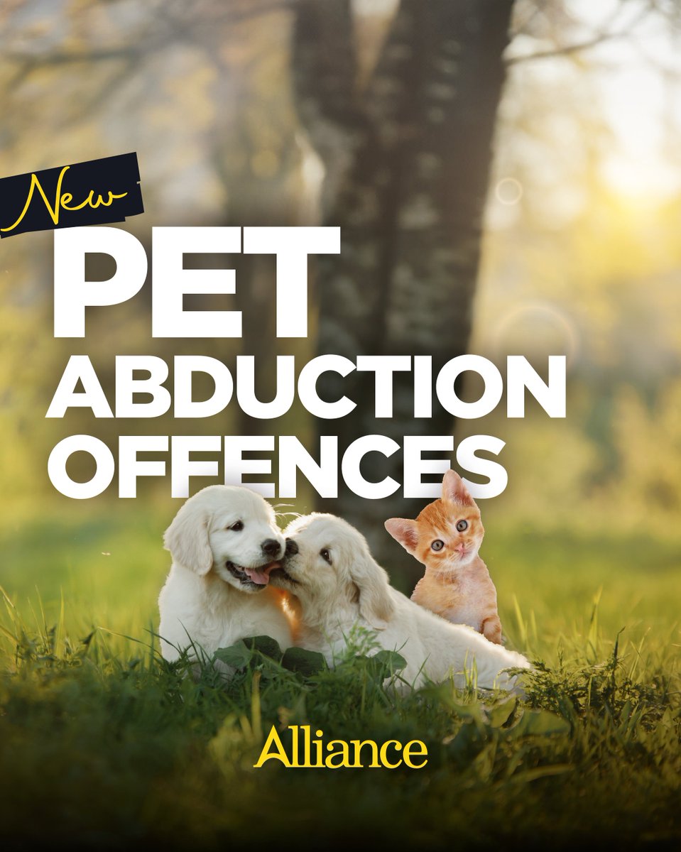 🎉 NI Assembly has voted to support the introduction of new Pet Abduction Offences in Northern Ireland, brought by Alliance DAERA Minister @AndrewMuirNI. These offences cause real distress to pet owners, and now we're one step closer to improving how they're dealt with.