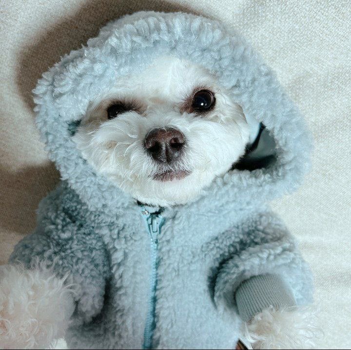 c1hhhh1's tweet photo. @user0660666 такая вот хорошка! https://t.co/XZTE84tC8n