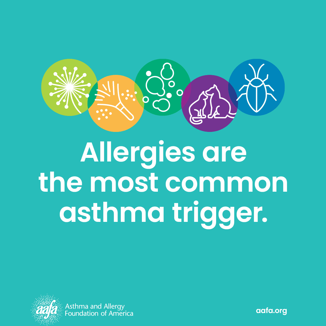Up to 60% of adults and 80% of kids with asthma have allergies that trigger their asthma. Check out how the Department of Health is addressing asthma here: bit.ly/3nesA51