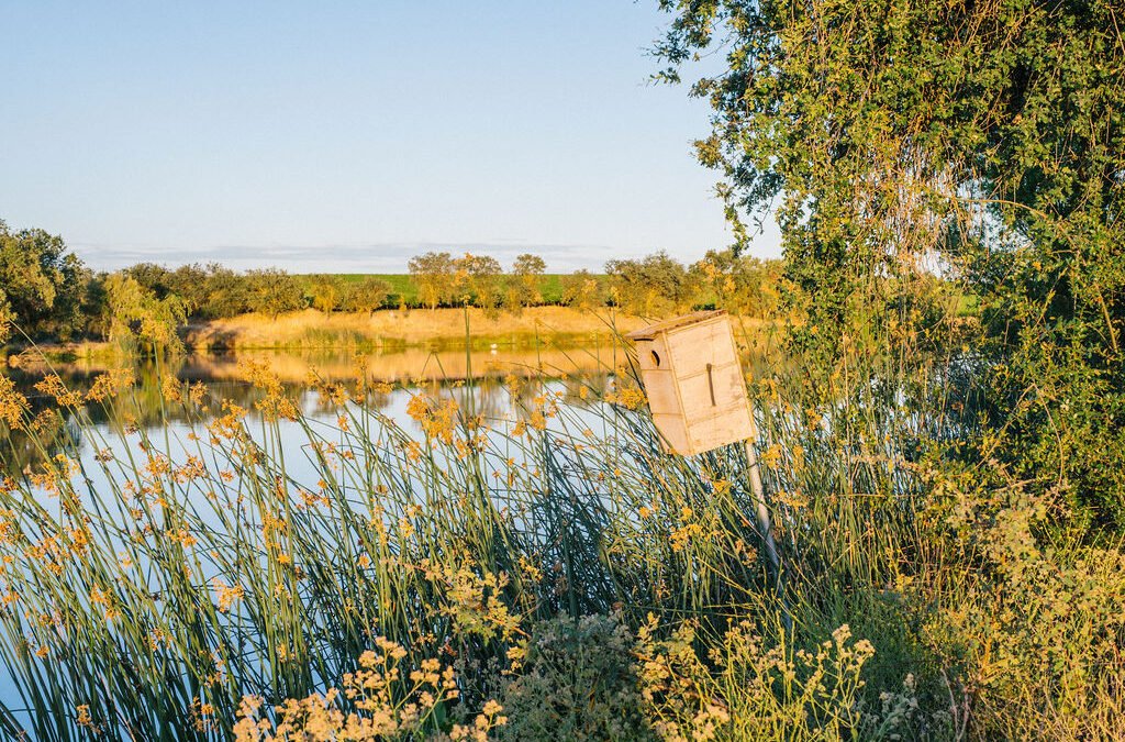 Lodi Wine Growers tweet media