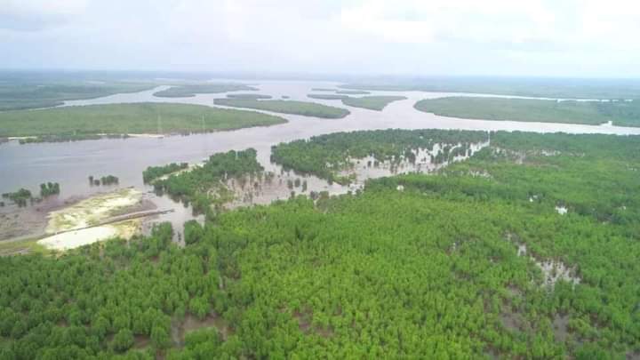 PepplePrincewi3's tweet image. Former President Goodluck Jonathan has ceremoniously inaugurated the much-anticipated 12.5-kilometer Trans-Kalabari road, a transformative project that promises to connect other rural communities in the state at the end will foster drastic development. 
#SIMISWORKING