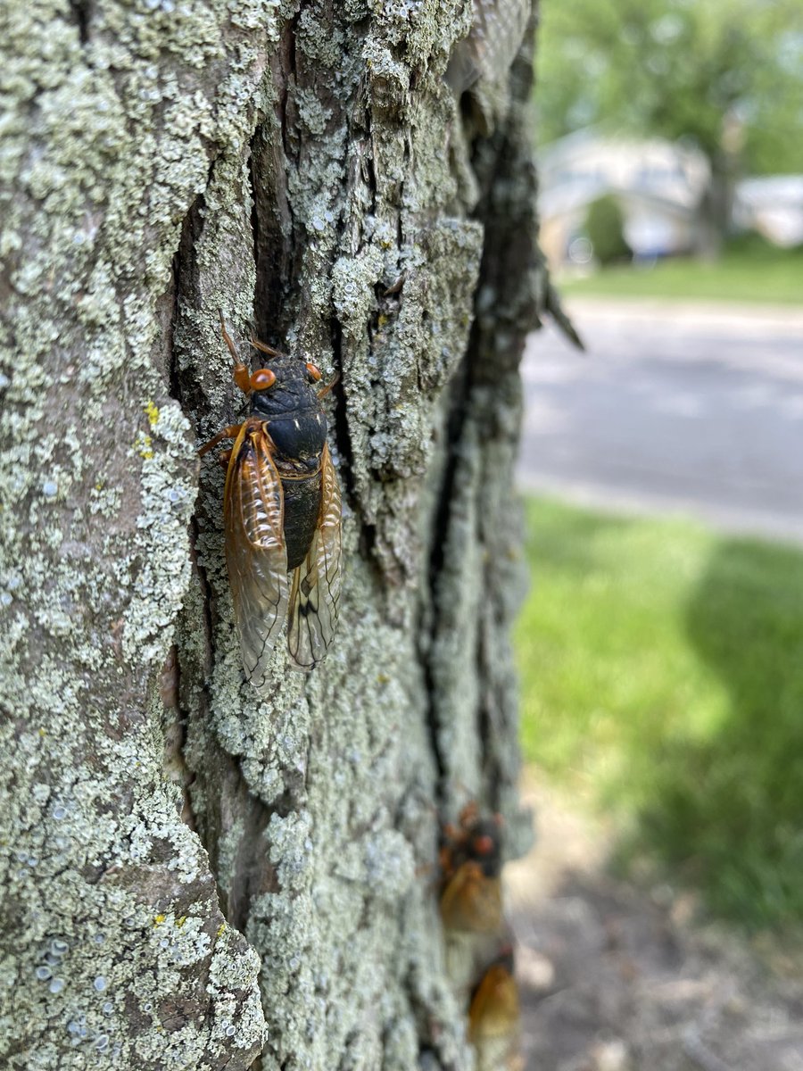 Rachel Pierson tweet media