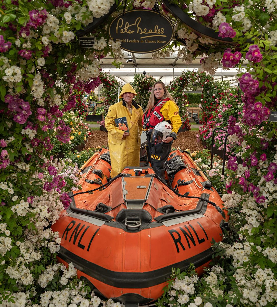 Roses are red, violets are blue. We've got a new rose named With Courage for you. Launched today at #RHSChelsea, our rose celebrates 200 years of our lifesaving work. Available from the award-winning @PeterBealesRose 🌹rnli.social/rose #RNLI200