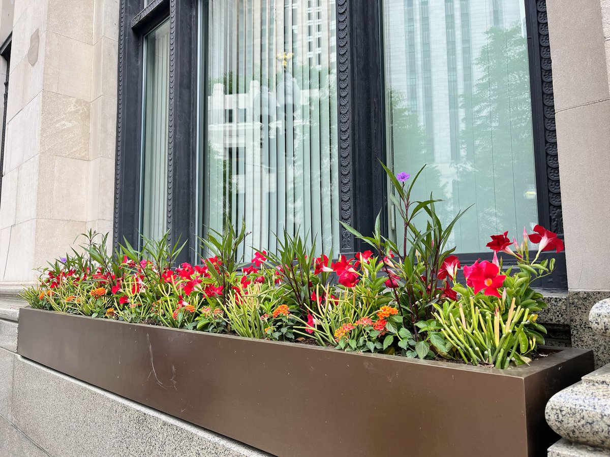 Injecting a burst of color into the outdoor scenery, this exterior planter adds a lively touch of vibrancy to its surroundings.

#Cityscapes #BiophilicDesign #Biophilia #InteriorPlants #Boston #VisitBoston #GreenSpaces #VerticalSpace #BringNatureIndoors #InteriorDesign