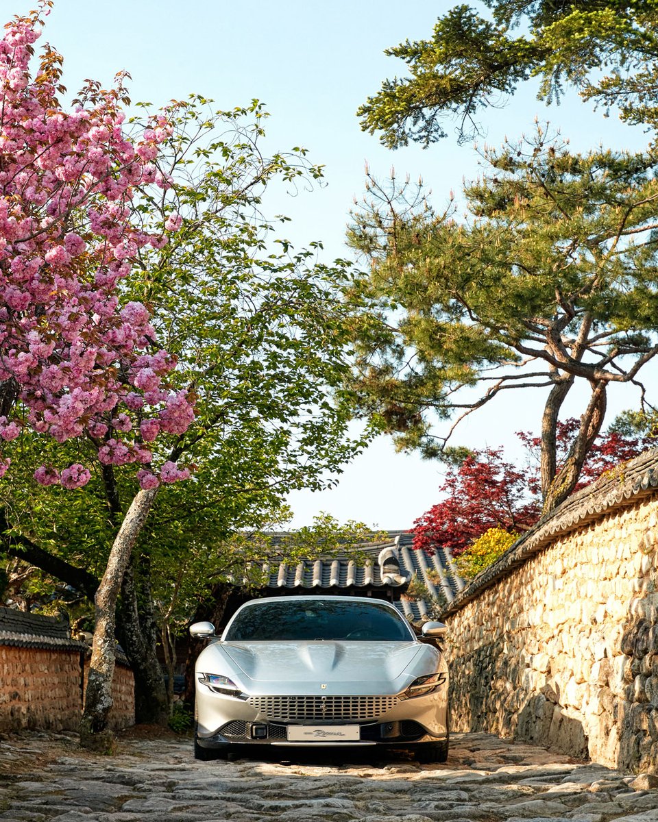 A classic sophistication which blooms as radiantly as the late spring blossoms. #FerrariRoma #LaNuovaDolceVita #Korea #Ferrari