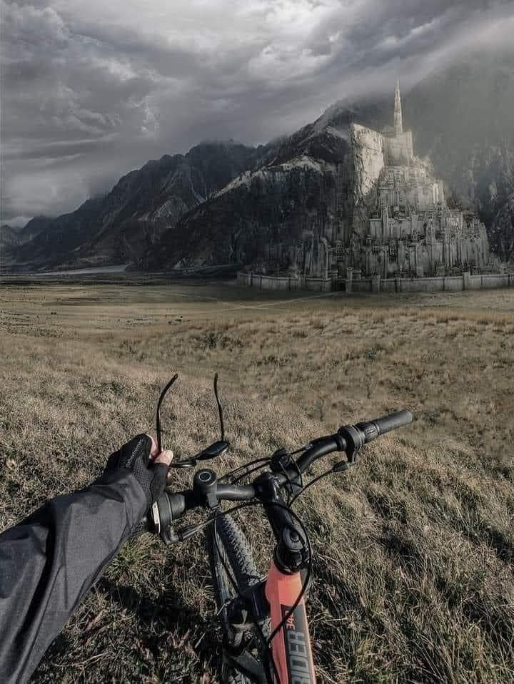 Steven Cercamondi tweet media