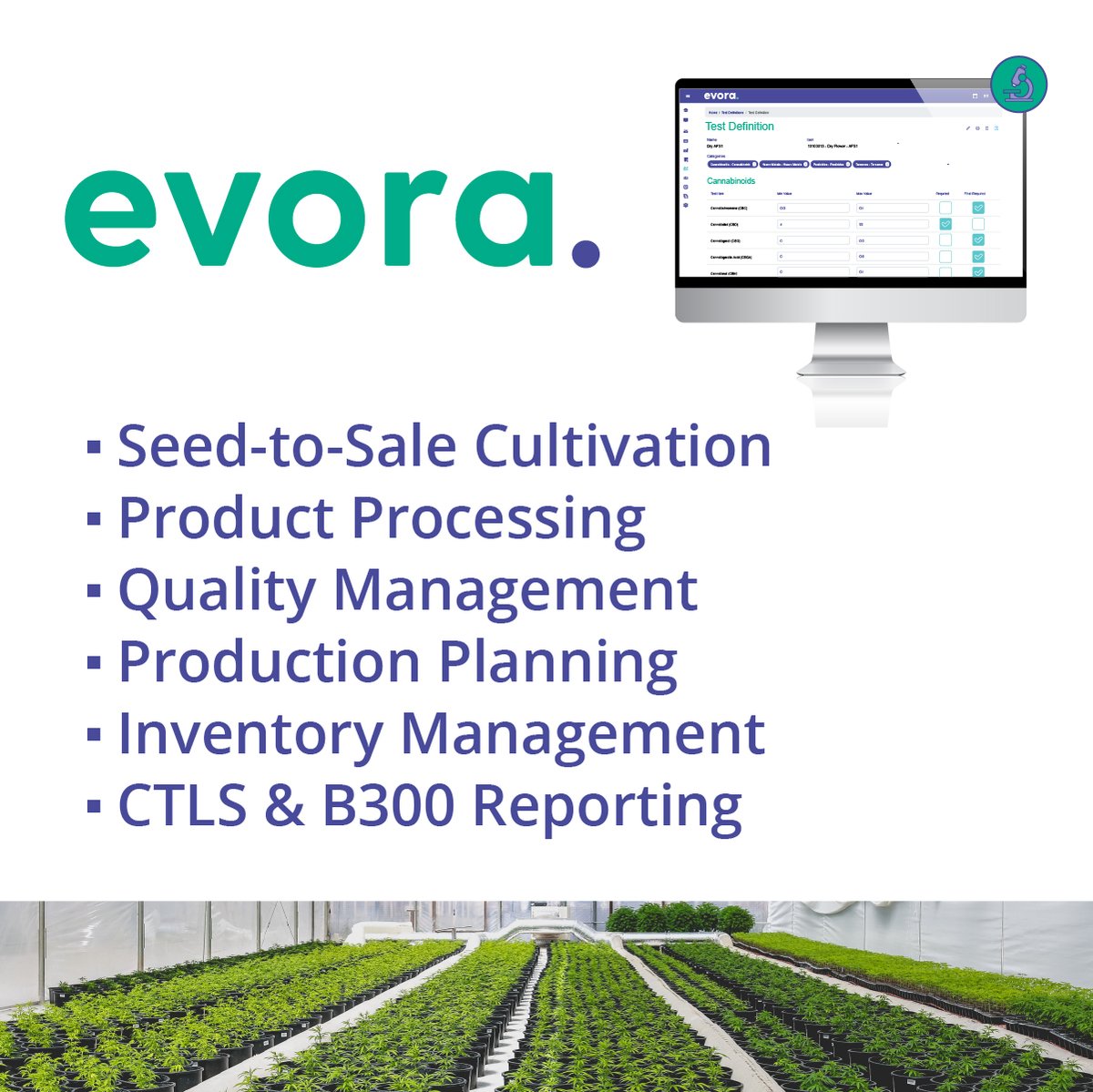 EVORA_Tech_01's tweet image. 🌱🌿 Case Study Highlight: How Evora is Transforming Cannabis Production at Plantations

We’re excited to share a success story from our valued client, Plantations Ceres, a leading cannabis producer located in St-Liguori.

Read the full Case Study here: evoratechnologies.com/customer-case-…