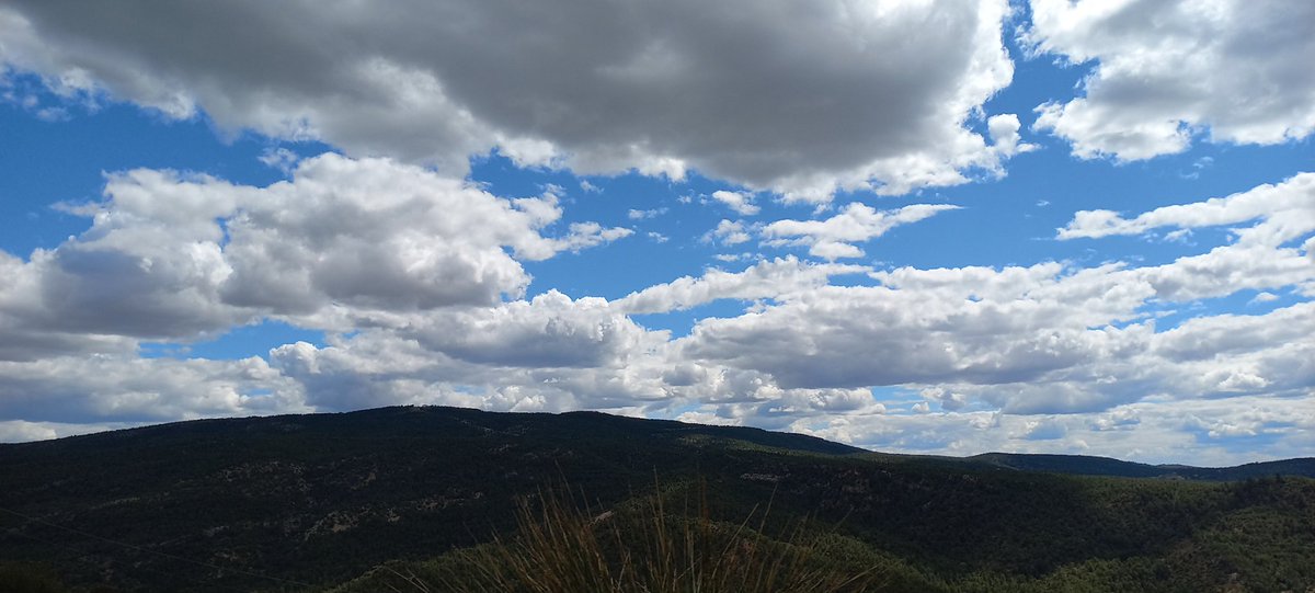 crisblascog's tweet photo. @apuntoratge quasi les toque en les mans. #masdelolmo #ademuz #parquenaturalpuebladesanmiguel https://t.co/vBv5GBC5me