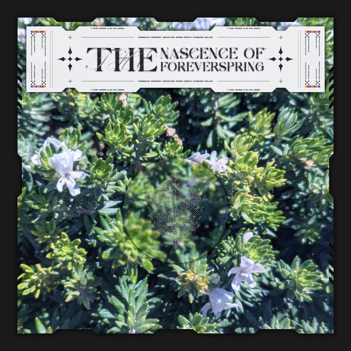 𝐓𝐡𝐞 𝐍𝐚𝐬𝐜𝐞𝐧𝐜𝐞 𝐎𝐟 𝐓𝐡𝐞 𝐅𝐨𝐫𝐞𝐯𝐞𝐫𝐬𝐩𝐫𝐢𝐧𝐠

Full Album Out Now