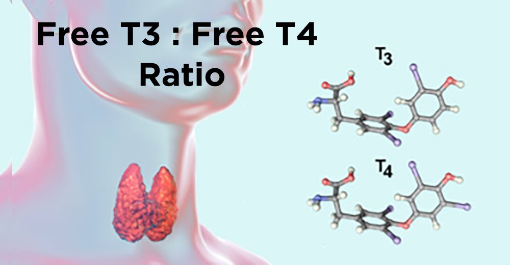 Women in #perimenopause or #menopause often have lowered metabolic rates due to the small amount of Progesterone they do still have being robbed by the Adrenals to produce #Cortisol & this interferes with both the conversion of T4 to T3 but also increases rT3 instead of normal