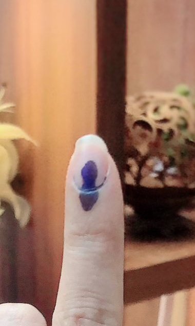 proudly voted for dictatorship 🥰