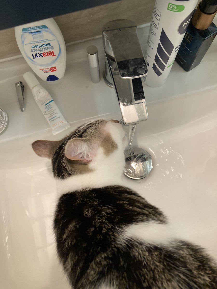 ca va je te derange pas