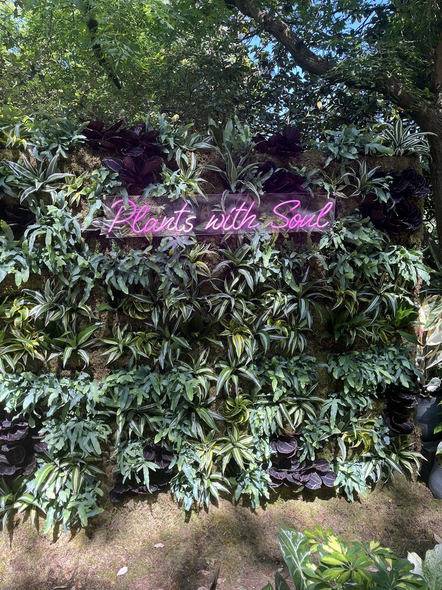 Simon Eyles tweet media