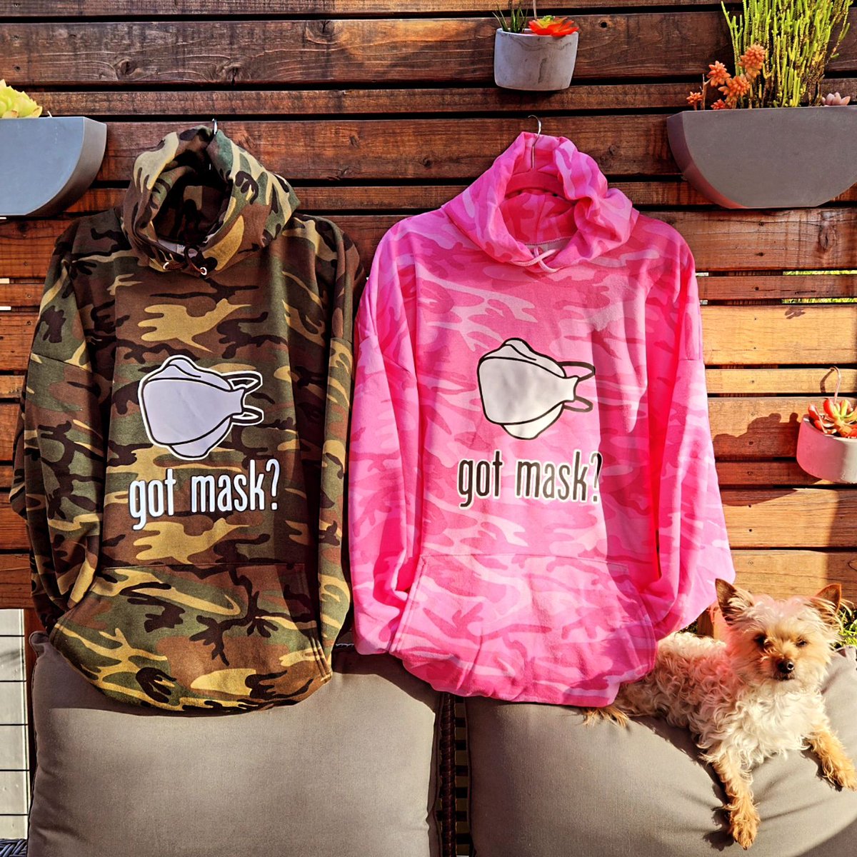 mesteza1's tweet image. Frida makes the best lil doggie model❤️. 
#maskssavelives