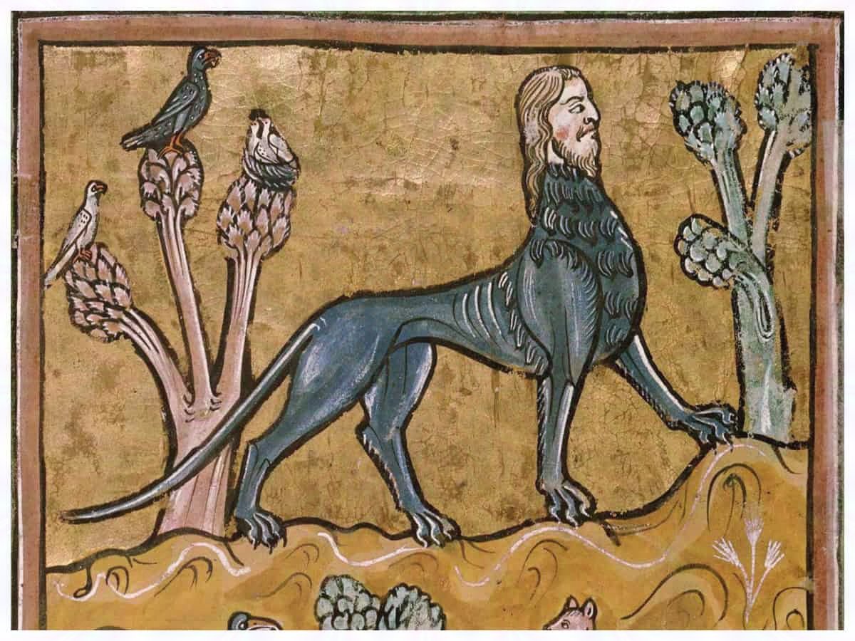 My entry on #ManuscriptMonday is this very curious manticore from the Rochester Bestiary. If you try touching his giant aspargus he's gonna eat you @Mud_and_Blood