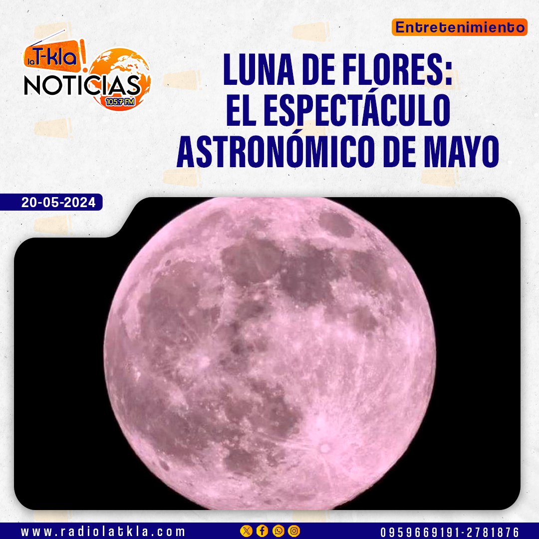 La #LunadeFlores es el nombre que recibe la #lunallena de mayo. Ocurre cuando la cara visible de la Luna está completamente iluminada por el #Sol, lo que a veces la hace verse rojiza o más grande de lo habitual. Por este motivo, también se conoce como superluna.

#Astronomía