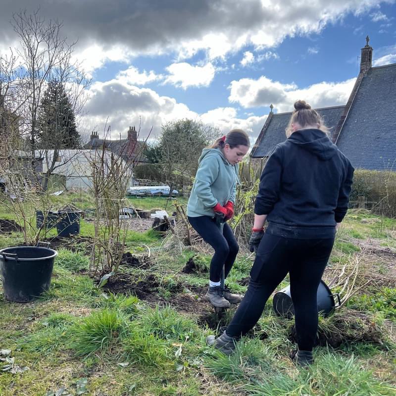 Over the last few months we've had pupils from @WebstersHigh visiting us on Tuesdays to help with the Community Garden. Supported by their Rural Skills teacher, Mr Milton, they have continued learning about climate-friendly food growing with nature in mind. 🐝