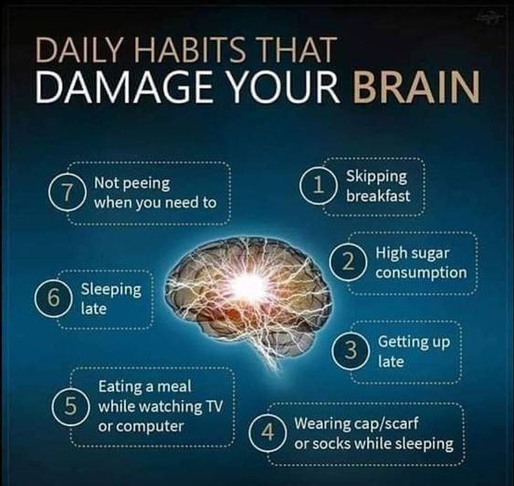 Daily Habits that Damage your Brain -Skipping breakfast -High Sugar consumption -getting up late -sleeping late -wearing scarf or cap while sleeping -sleeping in tight clothes -eating meals while watching tv -sleeping late -not attending nature's call when need to -not switching