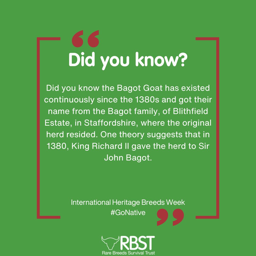 #InternationalHeritageBreedsWeek

Did you know the Bagot has existed continuously since the 1380s and got their name from the Bagot family, of Blithfield Estate, in Staffordshire, where the original herd resided.

📸Jon Durrant

#HeritageBreed #GoNative #AtRiskGoat #NativeGoat