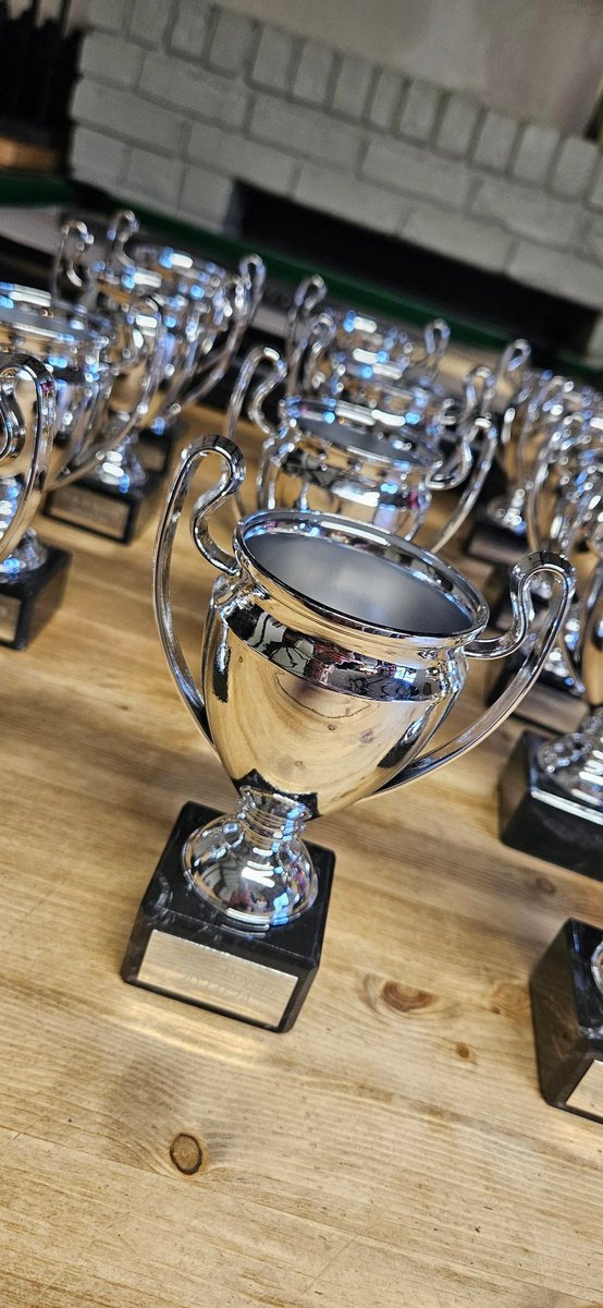 hellesdonfcdons's tweet image. More pics from yesterday's presentation 💛⚽️⚽️💛 #upthedons