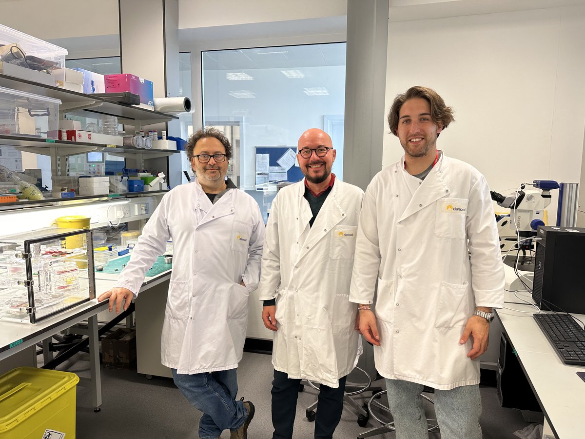 B23_Diamond (@b23_diamond) on Twitter photo Gennaro Pescitelli, Andrea Taddeucci from
<a href="/Unipisa/">Università di Pisa</a> and Marcin Gorecki (from <a href="/UniWarszawski/">Uniwersytet Warszawski</a>) map their chiral films on Module A at <a href="/b23_diamond/">B23_Diamond</a>, <a href="/DiamondLightSou/">Diamond Light Source</a>.
#Happy20Lightsources #chirality #science #CircularDichroism Gennaro Pescitelli, Andrea Taddeucci from
<a href="/Unipisa/">Università di Pisa</a> and Marcin Gorecki (from <a href="/UniWarszawski/">Uniwersytet Warszawski</a>) map their chiral films on Module A at <a href="/b23_diamond/">B23_Diamond</a>, <a href="/DiamondLightSou/">Diamond Light Source</a>.
#Happy20Lightsources #chirality #science #CircularDichroism