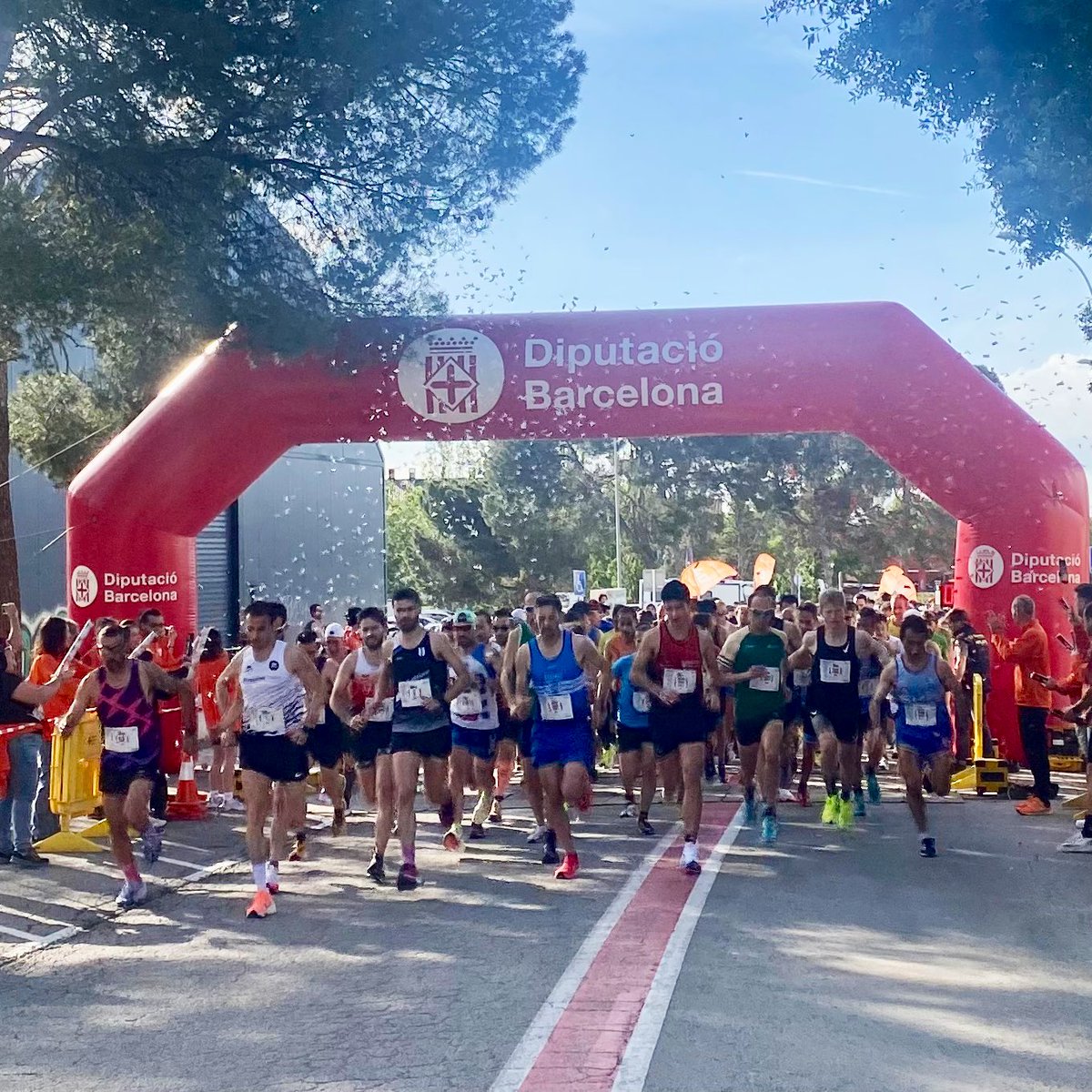 CoRReDoRS.CaT tweet media