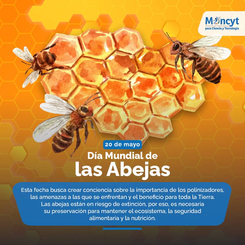 InfocentroFal25Jacura tweet media