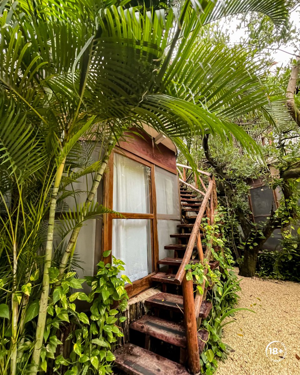 I've gotten to know the types of activities and destinations I enjoy most, which has made it easier for me to choose where to travel.

Even though I’m repeatedly swimming in wild waters, exploring islands, or taking in views, the uniqueness of each destination and the