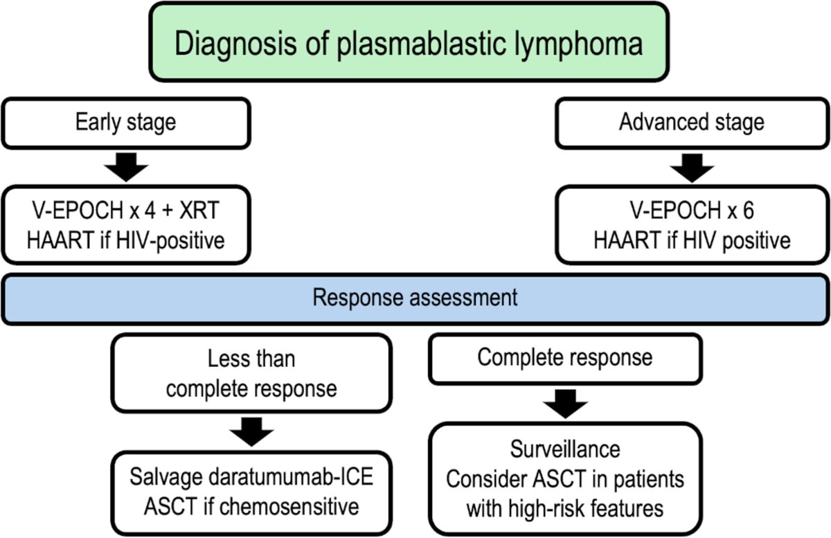 Plasmablastic lymphoma: 2024 update on diagnosis, risk stratification, and management |American Journal of Hematology | Blood Research Journal | Wiley Online Library onlinelibrary.wiley.com/doi/full/10.10… #lymsm