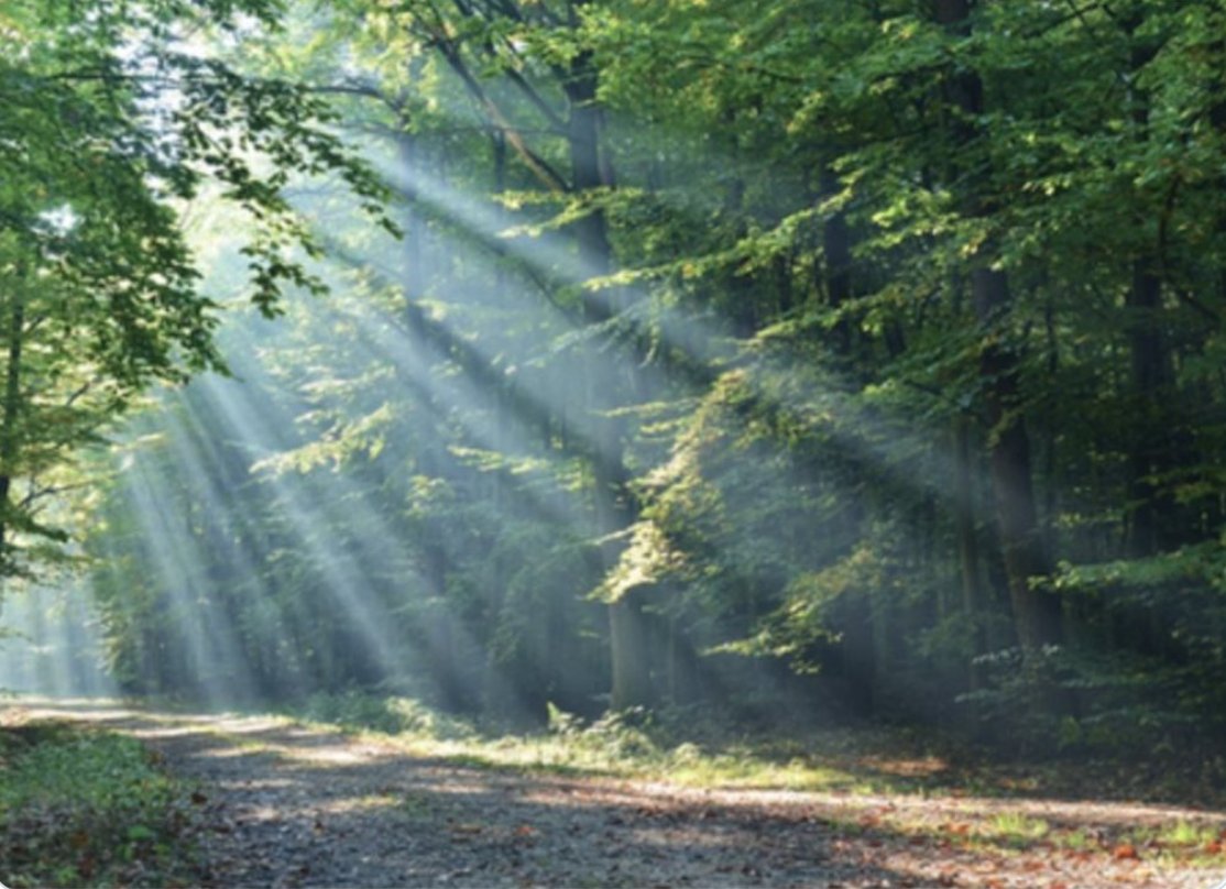 Planning for your end of life doesn't mean it will end sooner.  It just means you can prepare to have the best end of life possible, for you and for your loved ones.  For information on the key documents you can put in place now, visit ……ngmattersleicestershireandrutland.com/preparing-for-…